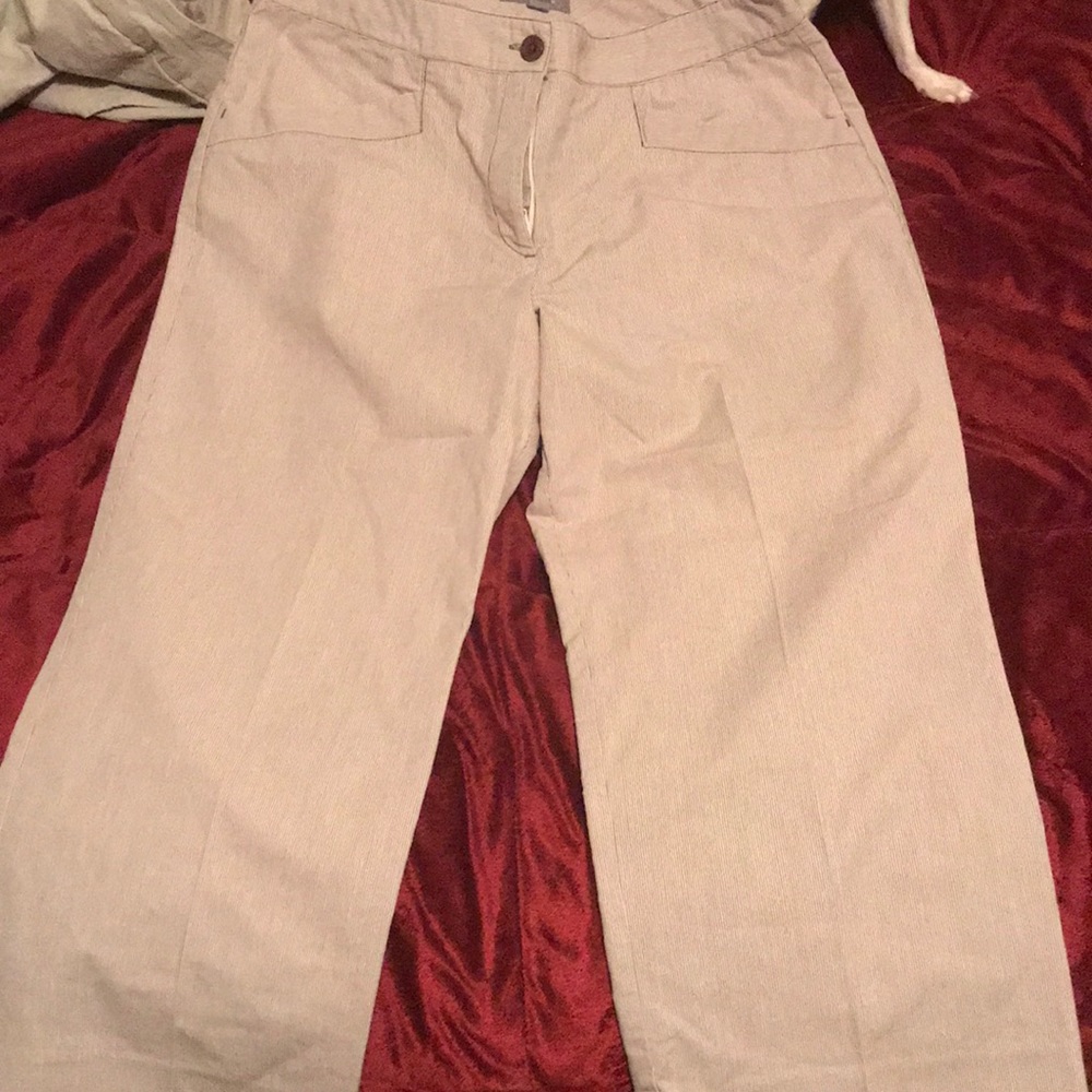 Ann Taylor capris